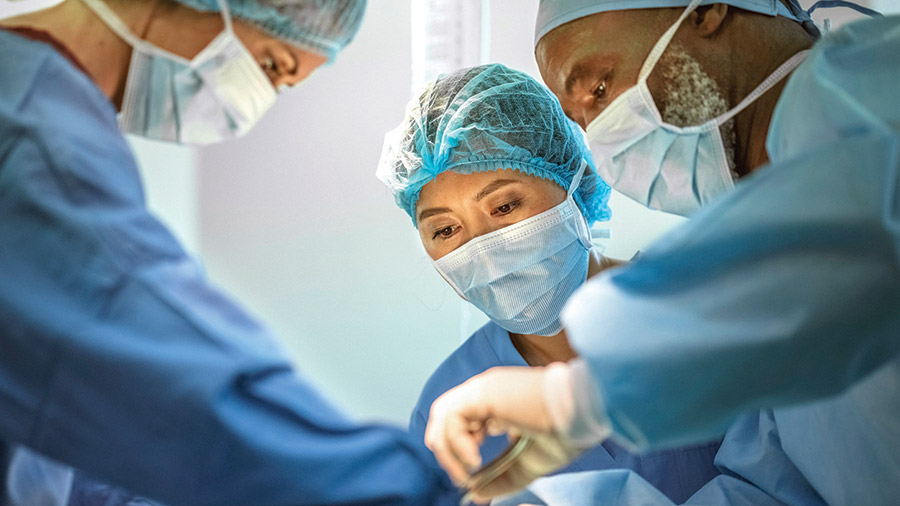 AO Spine Fellowships
